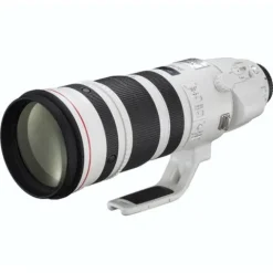 Canon EF 200-400mm f4L IS USM + 1.4x Tele-converter