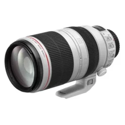 Canon EF 100-400mm f4.5-5.6L IS USM II