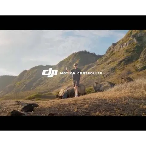 DJI Avata Pro View Combo FPV w/DJI Goggles 2