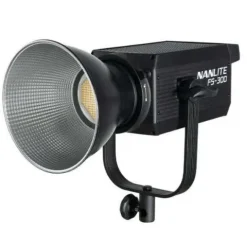 Nanlite FS300 5600K Daylight LED Light - Last One