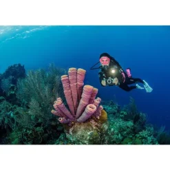 Sealife Micro 3.0 UW Explorer Set - Includes 2000F Light