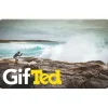 Ted's $100 Gift Card